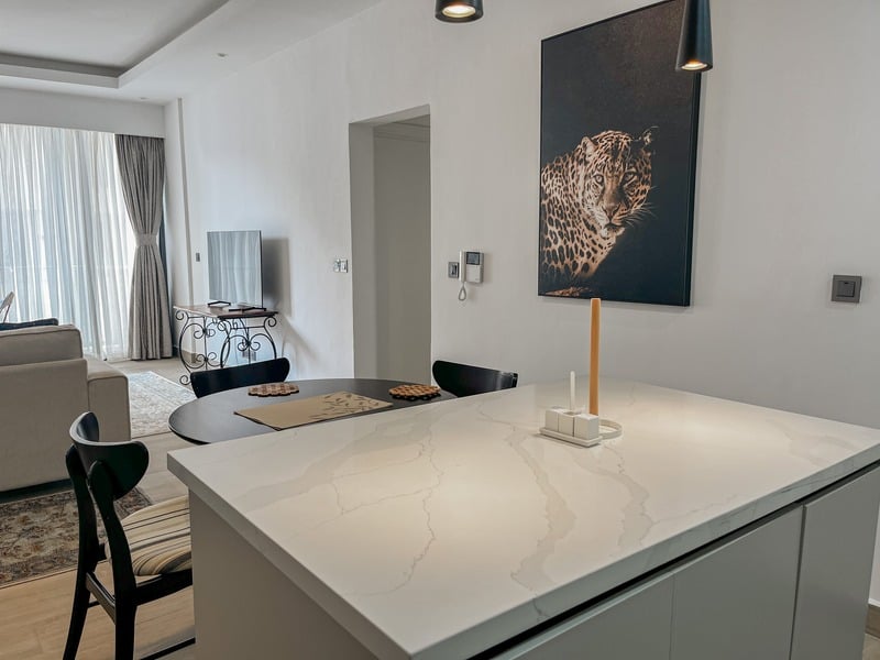 The Sierra — the kitchen, island
